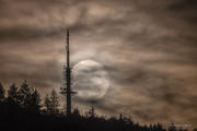 Moonrise in the Mist
