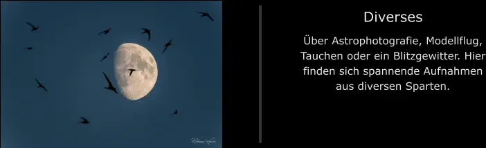 Diverses Über Astrophotografie, Modellflug, Tauchen oder ein Blitzgewitter. Hier finden sich spannende Aufnahmen aus diversen Sparten.