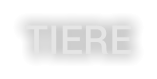 TIERE