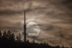 Moonrise in the Mist