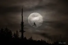 Witch in the Moon