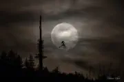 Witch in the Moon