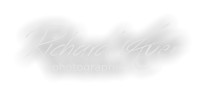 Richard Auer photographer